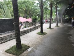-100蛋泥浆浴