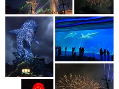 -珠海长隆海洋王国