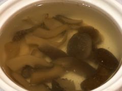 原盅珍菌汤-席家花园(巨鹿花园店)