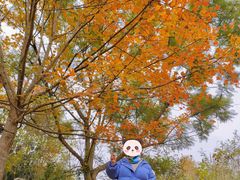 -桤木河湿地公园