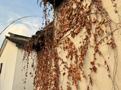 -东山雕花楼