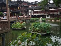 -豫园湖心亭茶楼