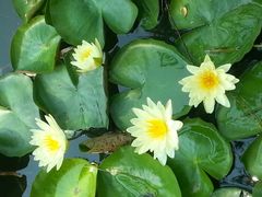 -上海市龙华烈士陵园