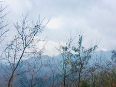 -牛背梁国家森林公园
