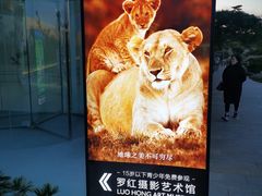 -罗红摄影艺术馆