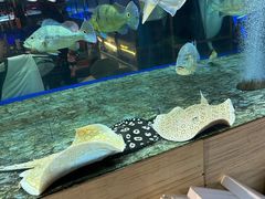 -中环花鸟鱼虫市场