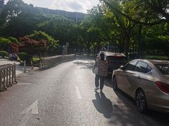 -上海中医药大学附属曙光医院(东部)