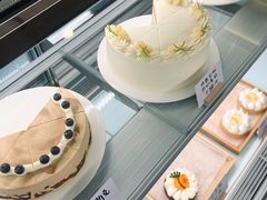 -猫里有甜