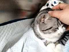 -宠颐生宠物医院·心肾内科·猫专科诊疗中心宠巢店
