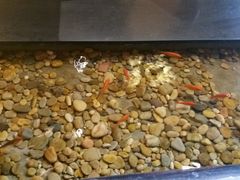 -颐和•海鲜砂锅粥•啫啫煲(奥林匹克广场店)