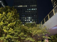 -陆家嘴世纪金融广场