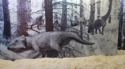 -恐龙探索乐园(磁器口店)