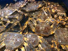 -海景壹号大酒店(滨湖店)