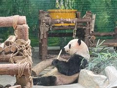 -灵玲国际马戏城