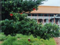 -南宁良凤江国家森林公园