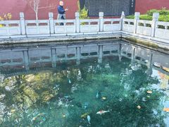 -百脉泉景区