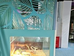 -上海大自然野生昆虫馆(东方明珠·爬宠昆虫探索中心)