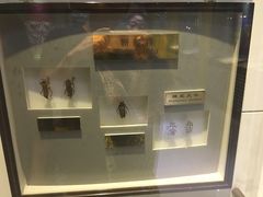 -上海昆虫博物馆