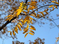 -上海山野camping·户外天幕烧烤·团建拓展营地