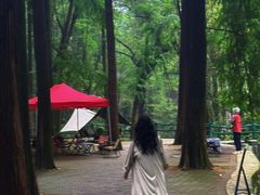 -波尔登森林公园