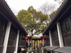 -杭州黄龙洞