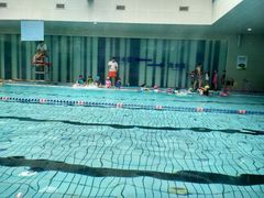 -曹杨游泳馆