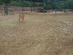 -无锡动物园·太湖欢乐园