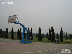 -顺德职业技术大学