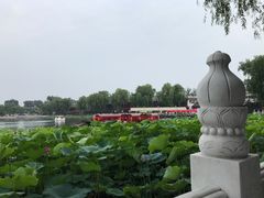 -小王府(什刹海店)