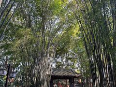 -成都杜甫草堂博物馆