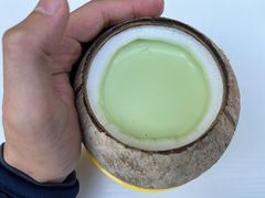 -椰爺爺·椰子冻砵仔糕