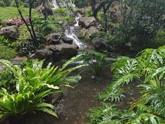 -广州兰圃