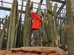 -南通洲际绿博园