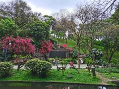 -广州市白云山风景名胜区