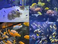 -海合安天津极地海洋公园