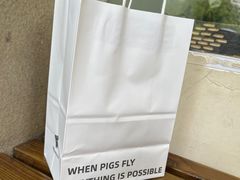 -WHEN PIGS FLY当猪飞