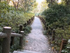 -新江湾城公园