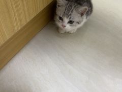 -美联众合动物医院·24h京西诊疗中心