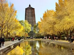 -玲珑塔公园