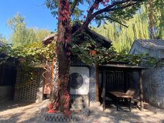 -悦真雅院·四合院·清真私房菜(雍和宫店)