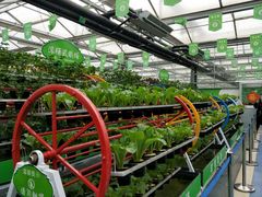 -兰陵国家农业公园