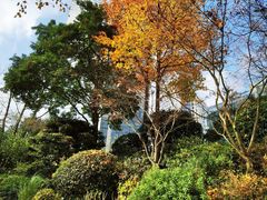 -静安公园(静安寺街道)