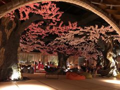 -蓝鲸湾汤泉(包河店)