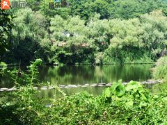 -溪口-滕头旅游景区