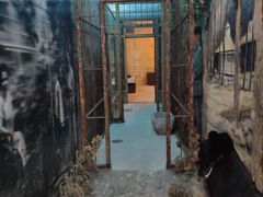 -北京动物园-畅观楼