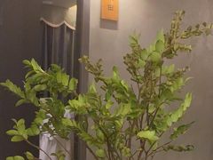 -施奈儿.洗头頭療.按摩SPA.采耳(上梅林店)