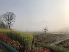 -塔川景区