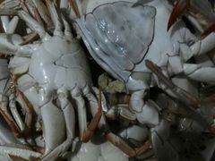 -青岛沙子口国家中心渔港