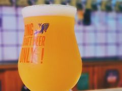 -ZING鲸鱼啤酒(葡萄院店)