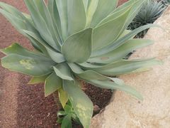 -南通洲际绿博园